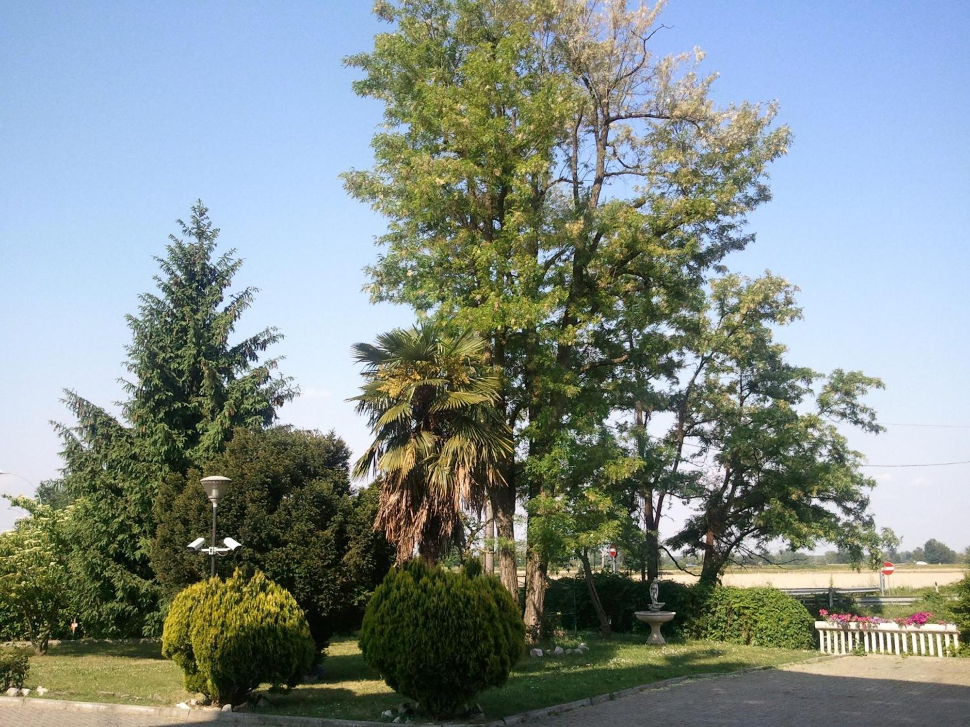 Hotel Europa Milano Rosate Esterno foto